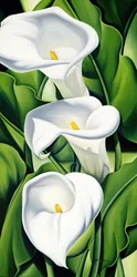 Lilien